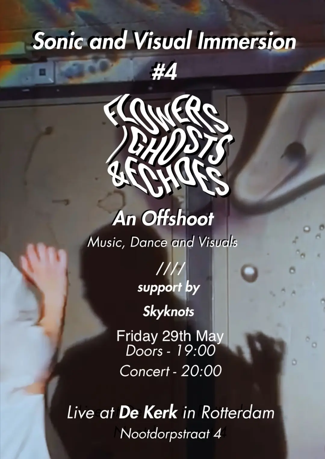 Sonic and Visual Immersion - Flowers/Ghosts&Echoes: An Offshoot