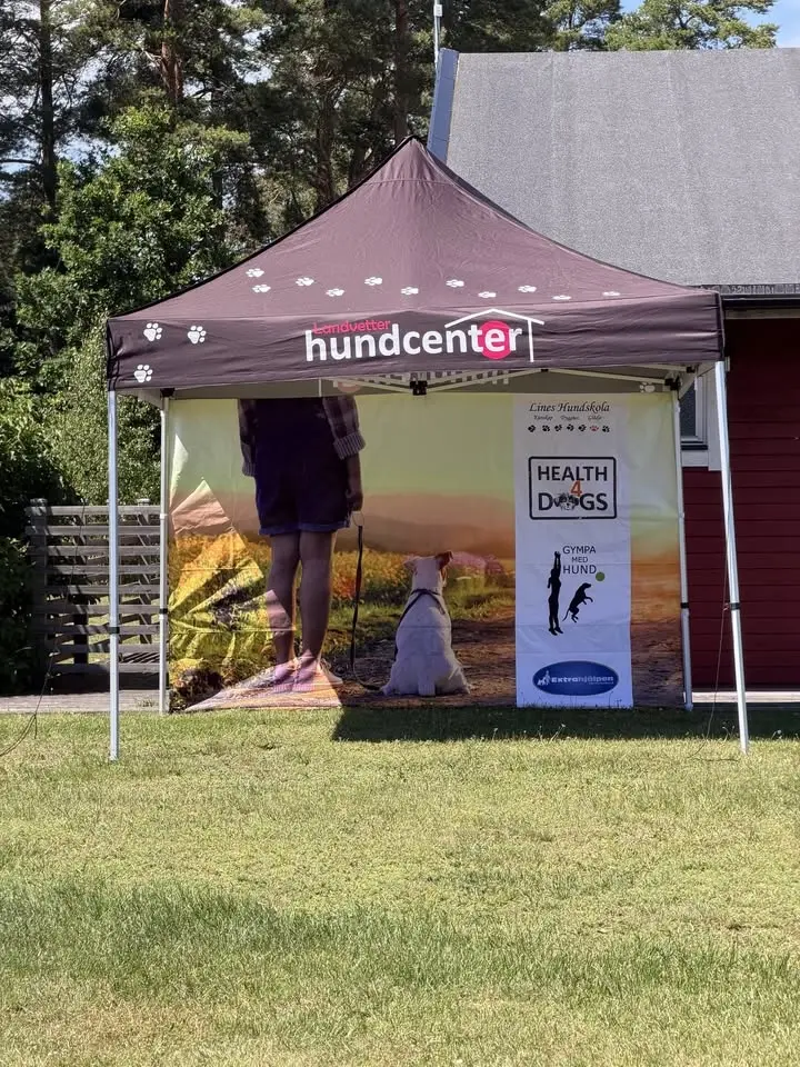 Hundläger på Haga Park
