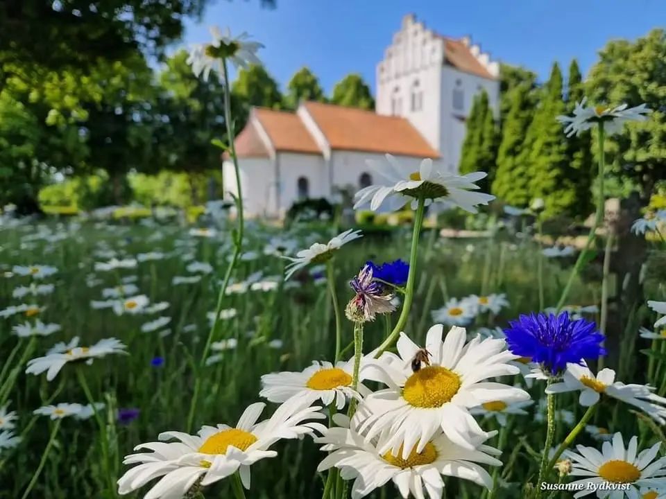 Sommarmusik i Risekatslösa kyrka