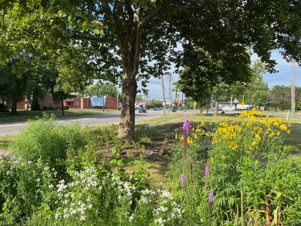 Native Garden Workday: Garden cleanup and winter habitat