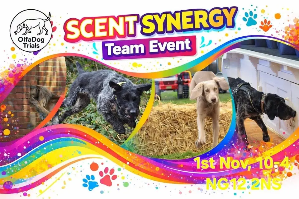 Scent Synergy
