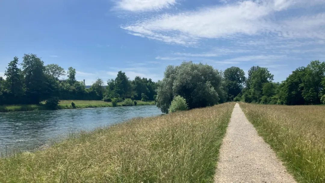 Hike & Steam (T1)