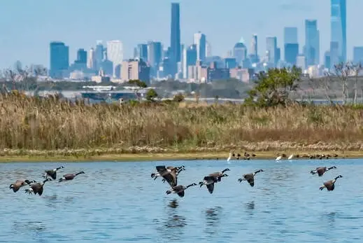 Field Trip with Huntington-Oyster Bay Audubon