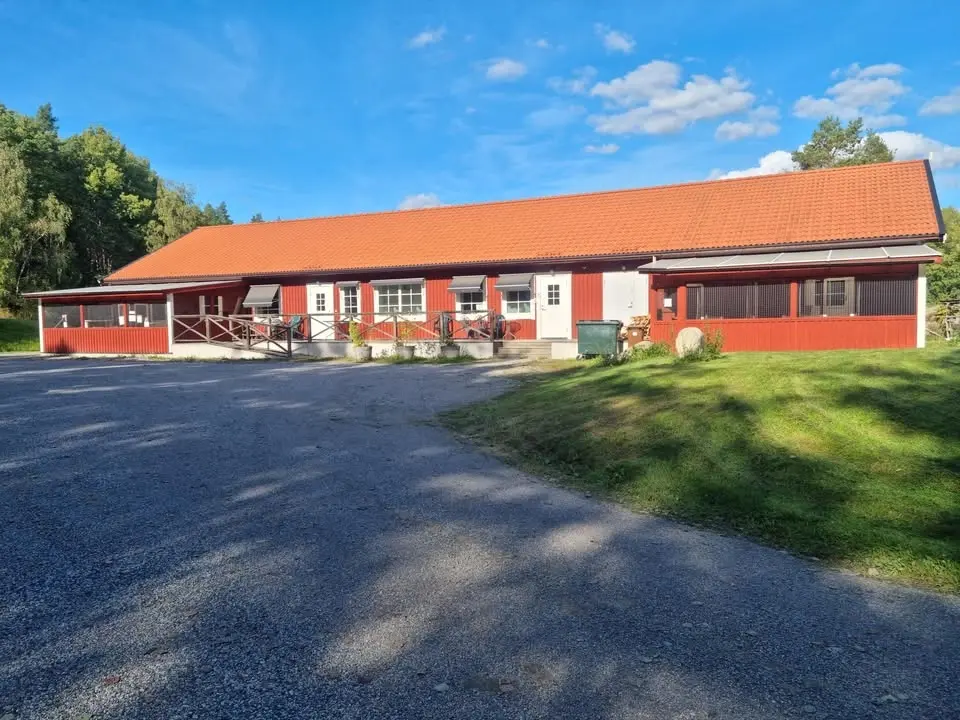 Hemlösa kattens dag
