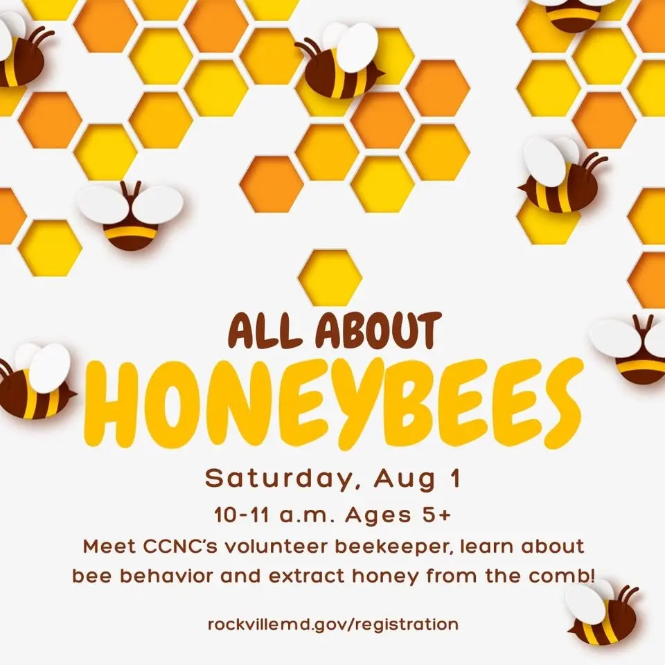 All About Honeybees