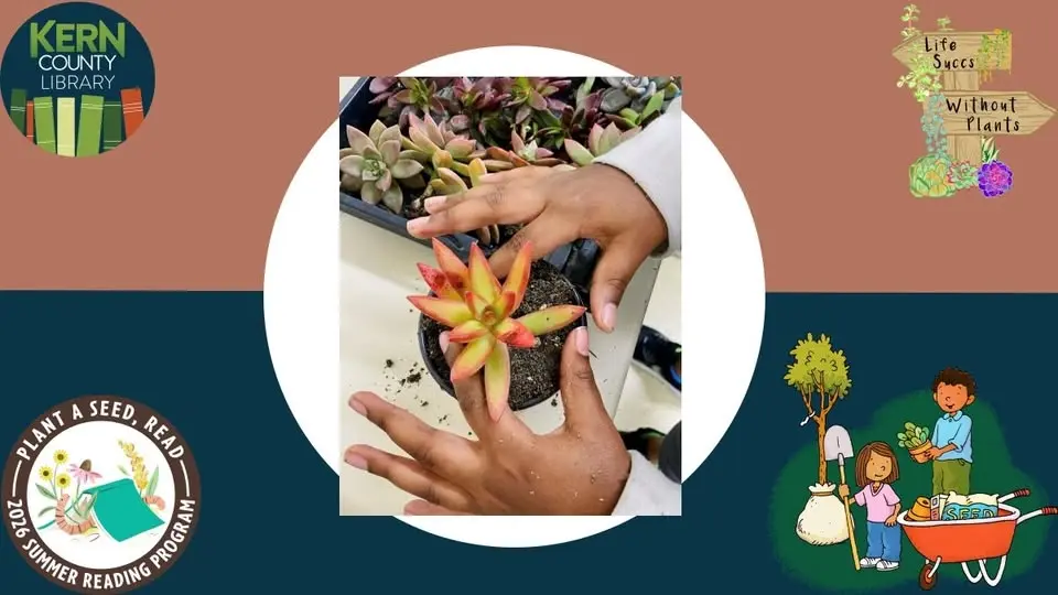 Life Succs Without Plants Botany Workshop for Kids