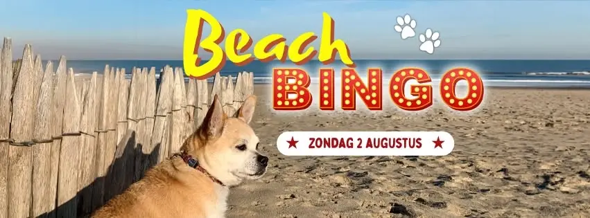 Stevenshage Beach Bingo