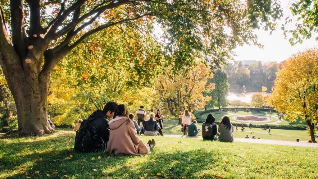 Pique-nique à High Park