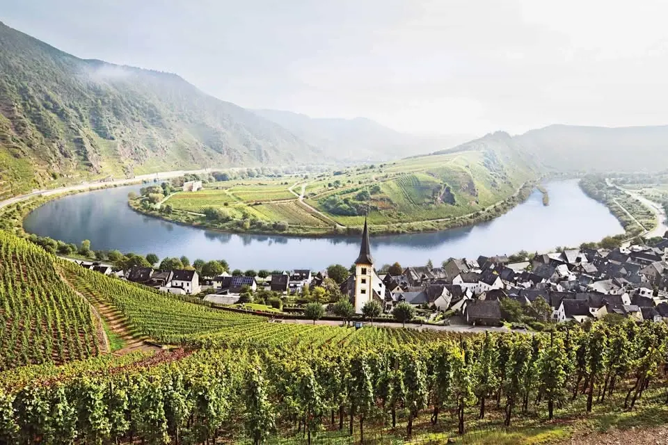 🇱🇺Luxembourg Wine Tasting