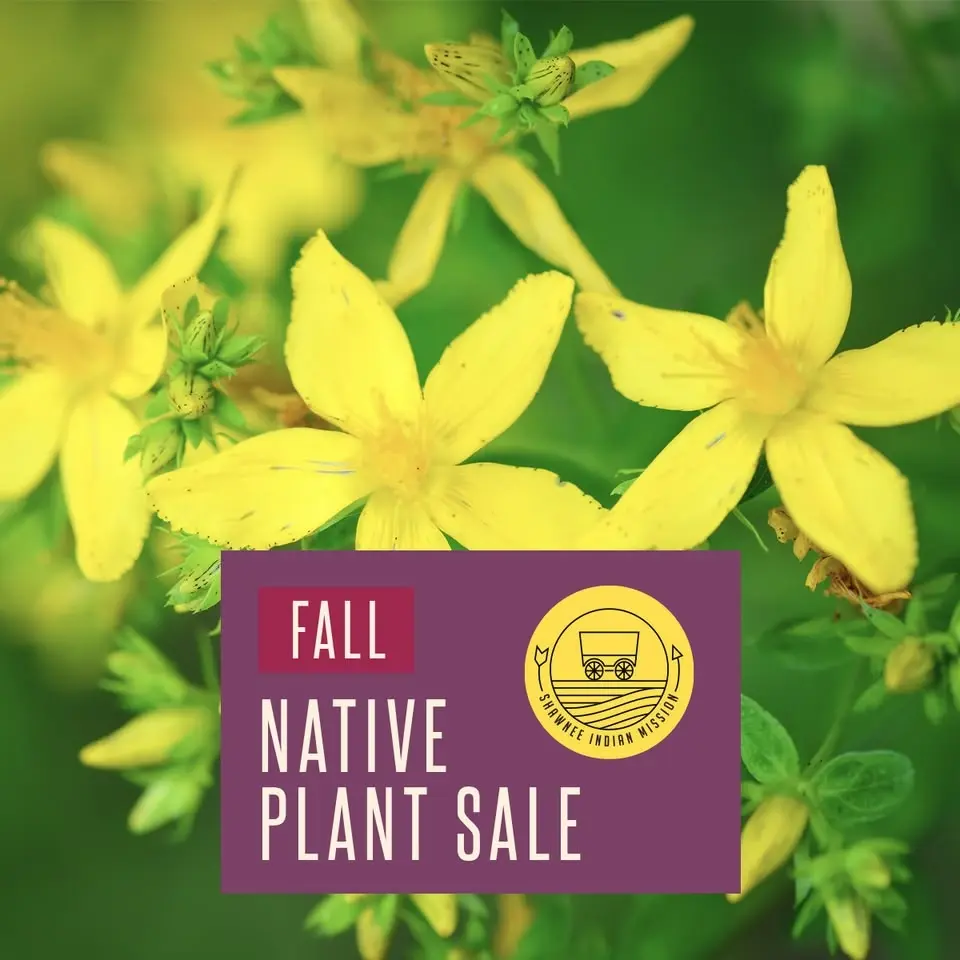 Fall Native Plant Sale