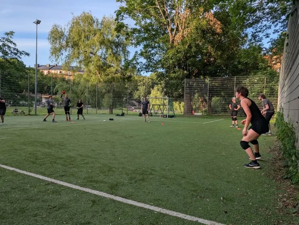 Outdoor Dodgeball Intermediate Foam
