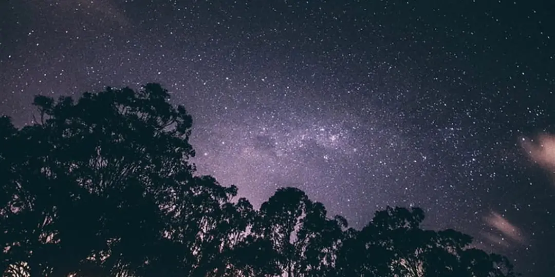 Dark Skies - Stargazing evening