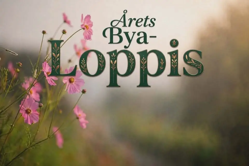 Hököpinge ByaLoppis