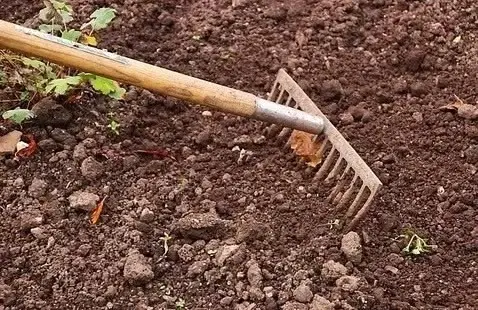 Putting the Garden to Bed Workshop at Wanskuck Library