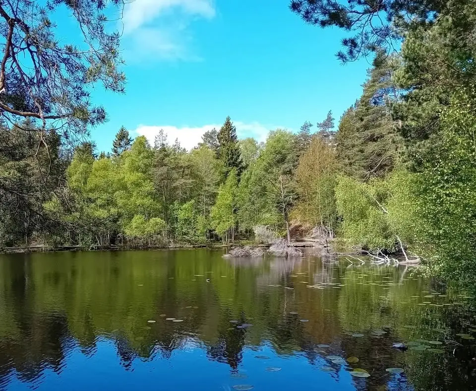 Blomvandring från Tyresö C till Barnsjön