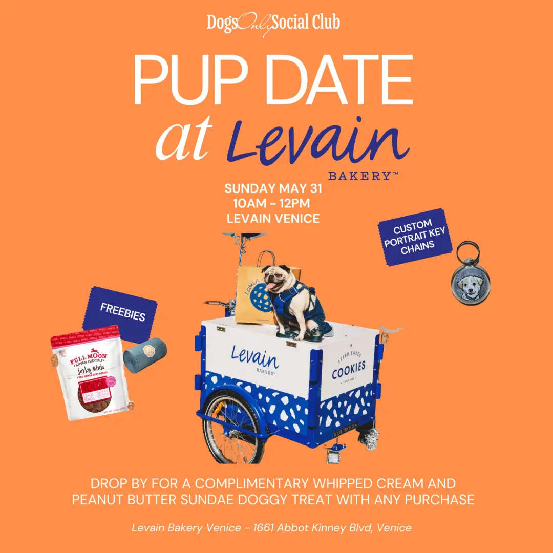 Pup Date at Levain Venice
