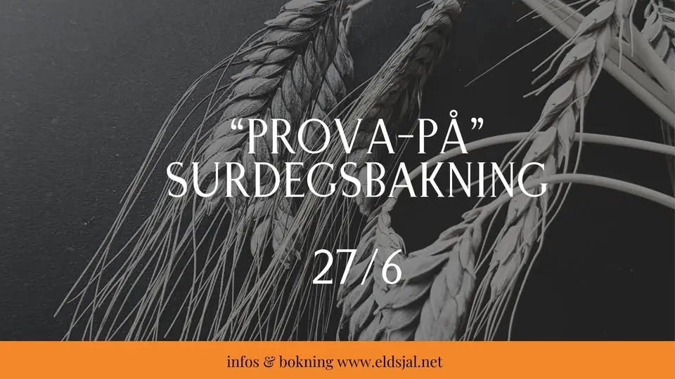 SOMMARKURS prova-på SURDEGSBAKNING