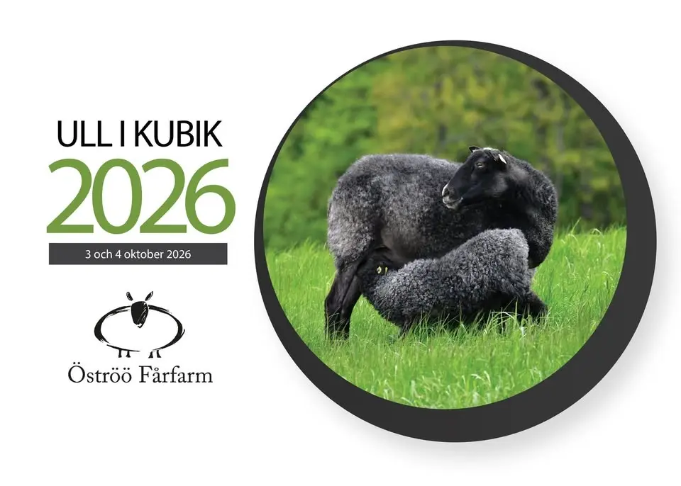 Ull i Kubik 2026