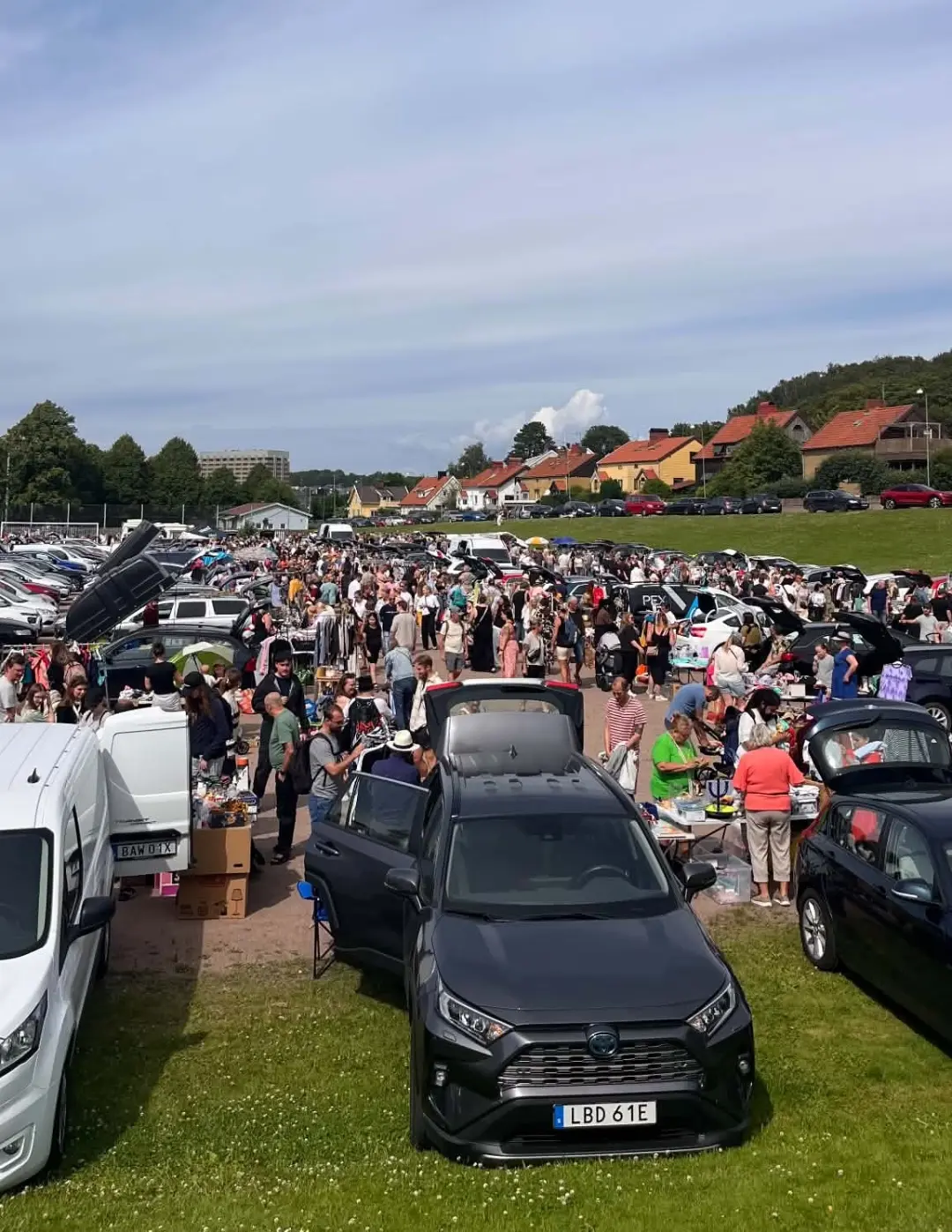 Bakluckeloppis på Ånäsfältet