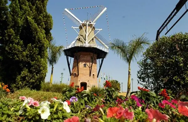 🌷 HOLAMBRA - SP 🌹