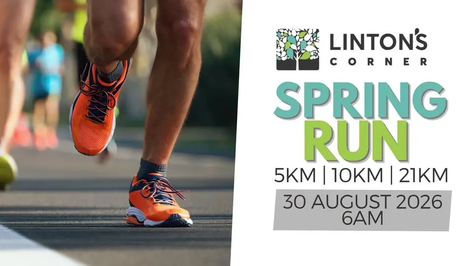 Linton's Corner Spring Run