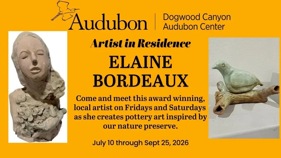 Artist in Residence 