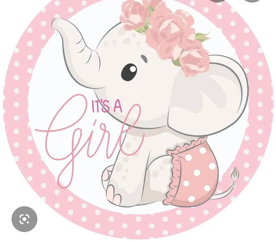 Baby Shower for baby E 
