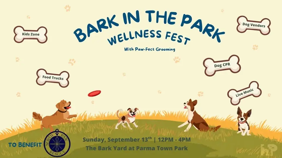 BARK IN THE PARK – WELLNESS FEST