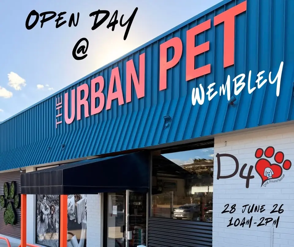 DFL at the Urban Pet Wembley Open Day!