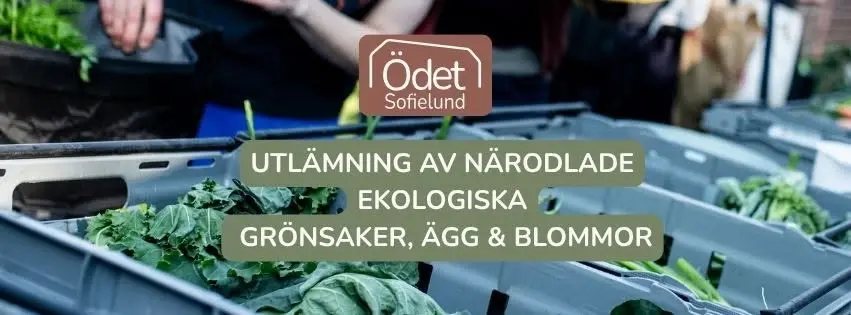 Farmers Market i Malmö – en lokal marknadsplats