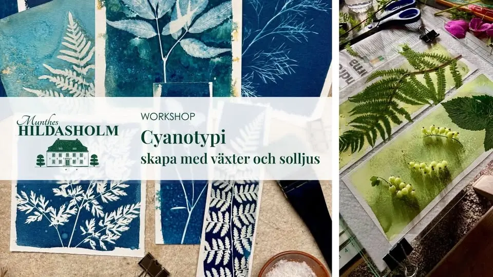 Cyanotypi – skapa med växter och solljus