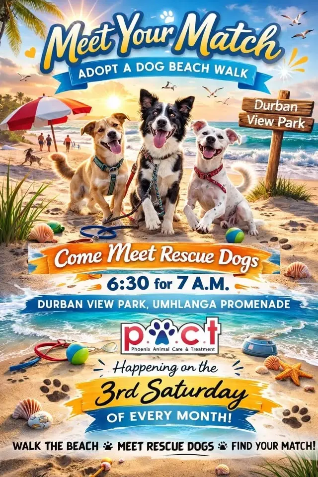 Meet Your Match Dog Walk