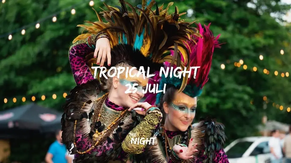 Tropical Night 🌴 