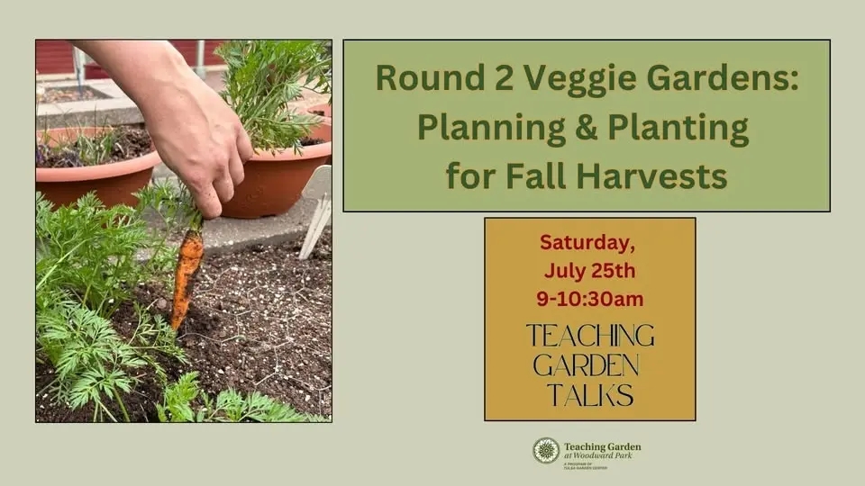 Round 2 Veggie Gardens: Planning & Planting for Fall Harvests