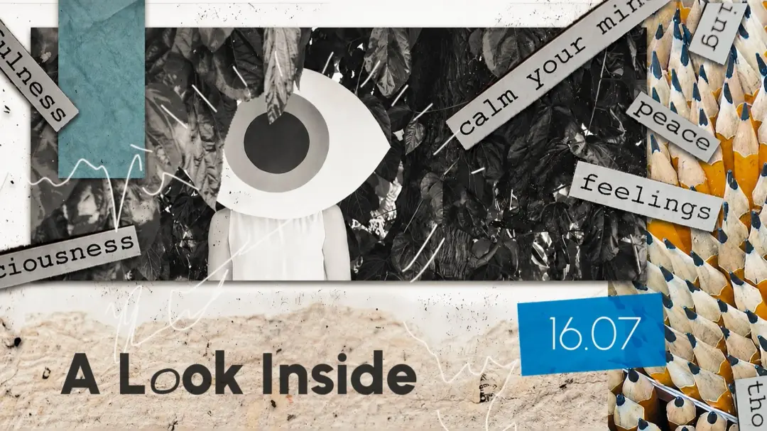 A Look Inside