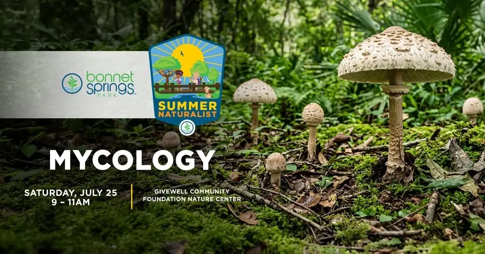 Summer Naturalist