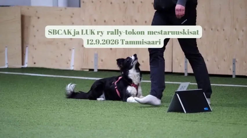 Rally-tokokisat Tammisaaressa: SBCAK- ja LUK ry seuramestaruudet