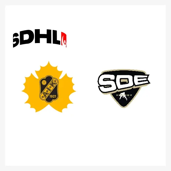Skellefteå AIK DAM - SDE