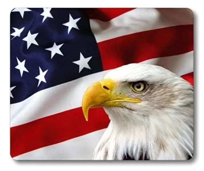 6th Annual Freedom Festival 