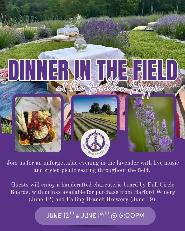 Dinner in the Field #1