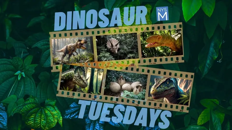 Dinosaur Tuesdays: A Summer Screening Series