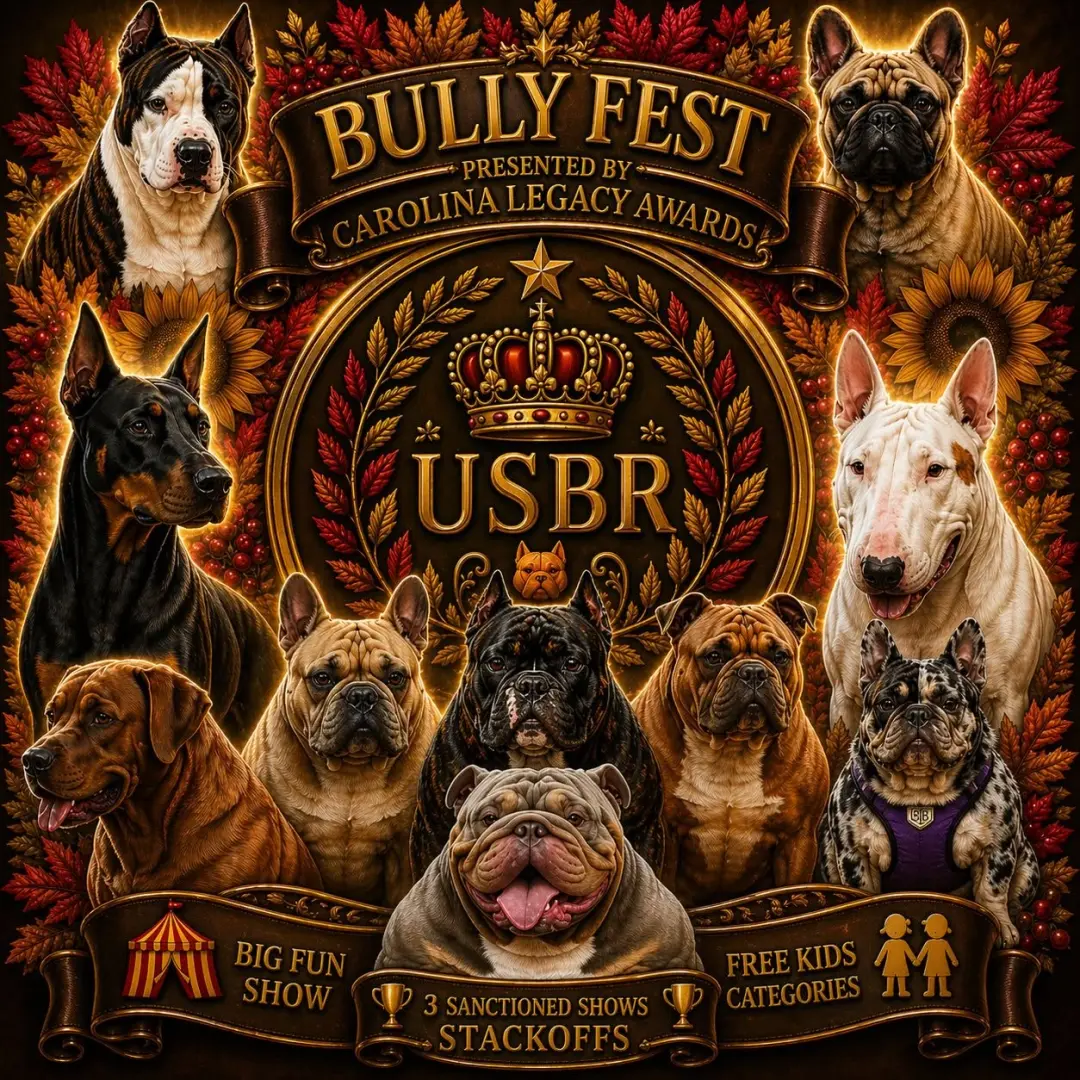 Bully Fest 2026