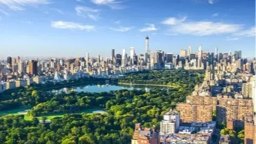 Paint In Central Park - A Bucket List Event!
