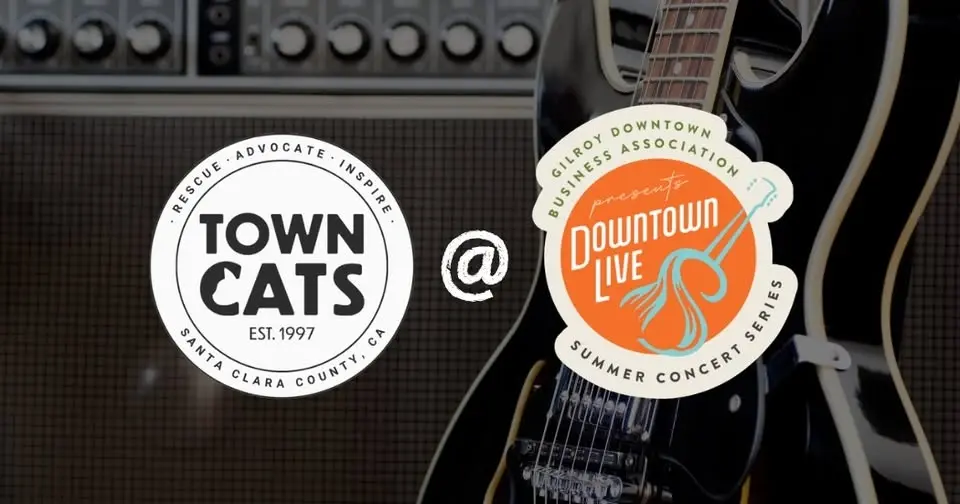 Downtown Live Music Series - Summer 2026