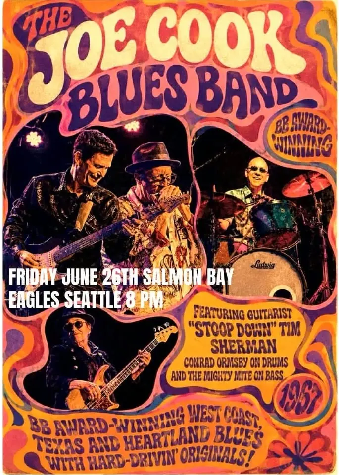 Joe Cook Blues Band