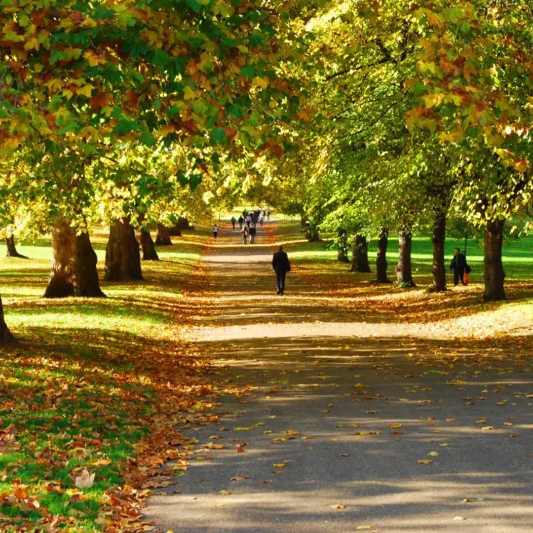 🌳Offline Women Explore the Royal Parks: Green Park