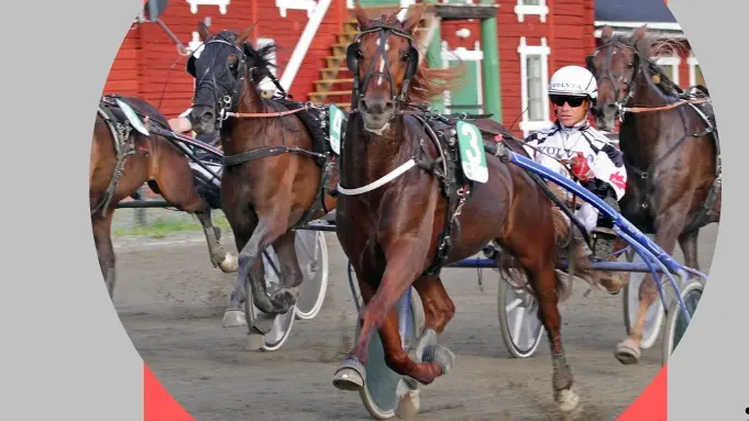 Hotingresan fredag 10 juli