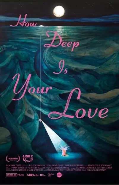 How Deep Is Your Love? Film