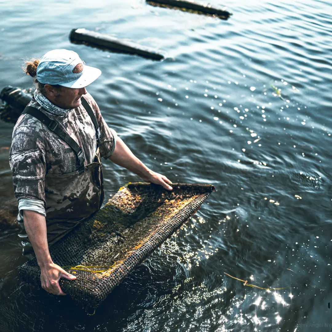 Volunteering Untapped NYC: Billion Oyster Project (May Event)