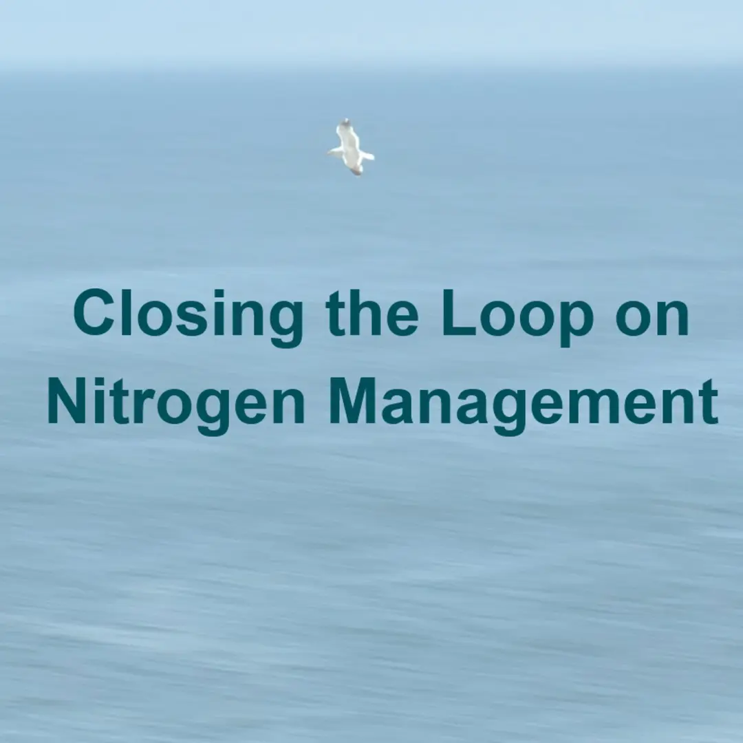 Closing the loop on nitrogen management - year 1 review